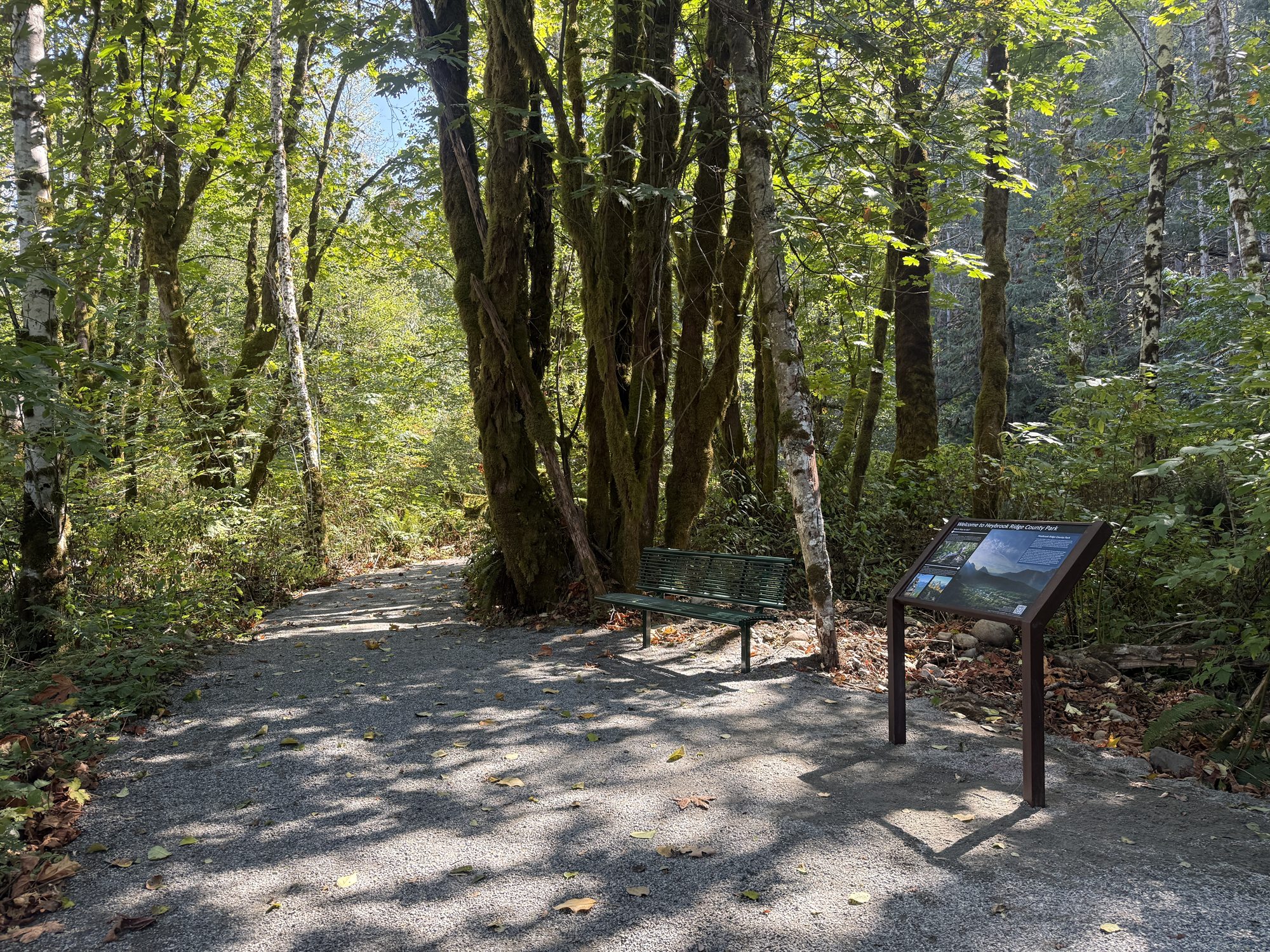 The start of the Erinswood Trail, with a bench and the first interpretive sign.
