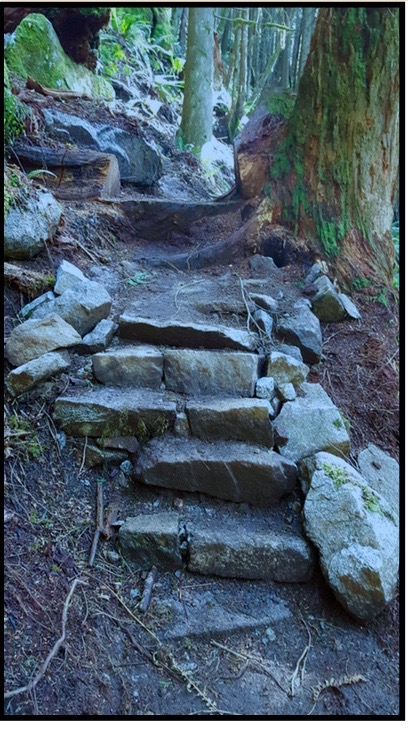 Rock steps on steep grade